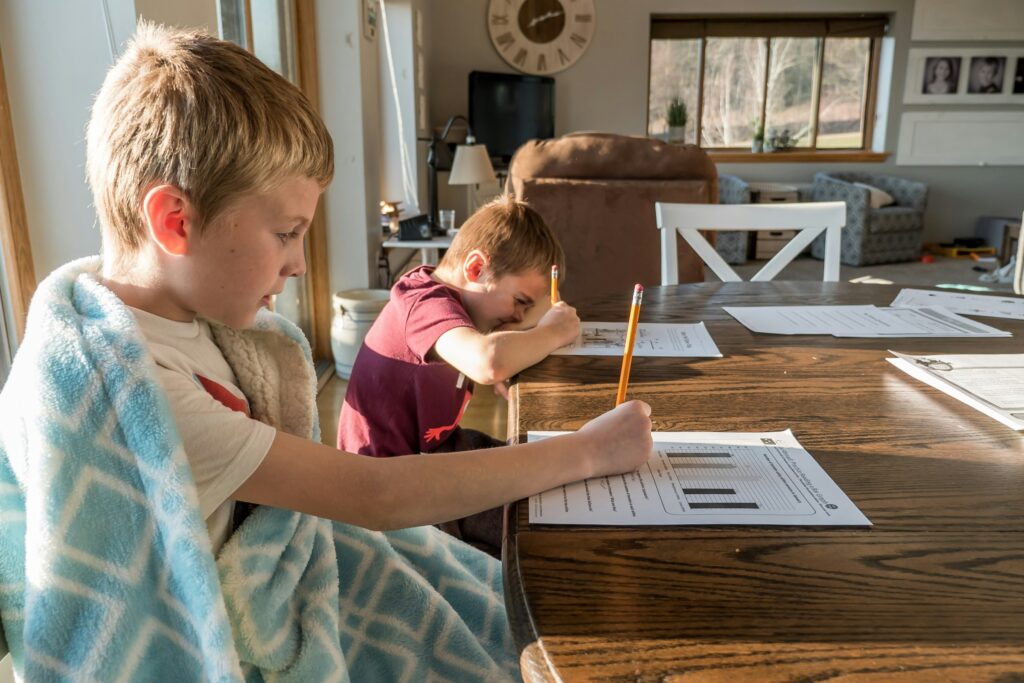 2 boys attending homeschooling