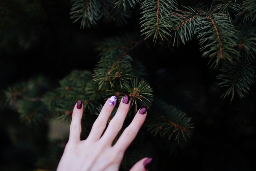 Elegant fall nails in deep burgundy with floral accent design against pine branches.
