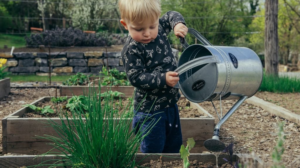 Toddler in a patterned dark top tipping a metal watering can over a raised garden bed with chives.